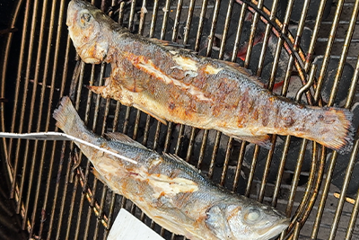 Recept Brancin z dalmatinskim krompirjem in tržaško omako - 4.korak