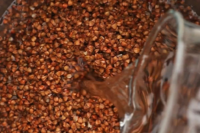 Recept Ajdova kaša s šampinjoni in paradižnikovo omako - 5.korak